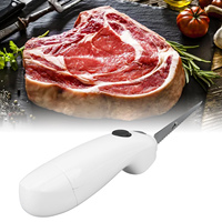 Battery Powered Knife Light Weight Electric Carving Kitchen Knife Cordless  Stainless Steel PP Washable for Restaurant