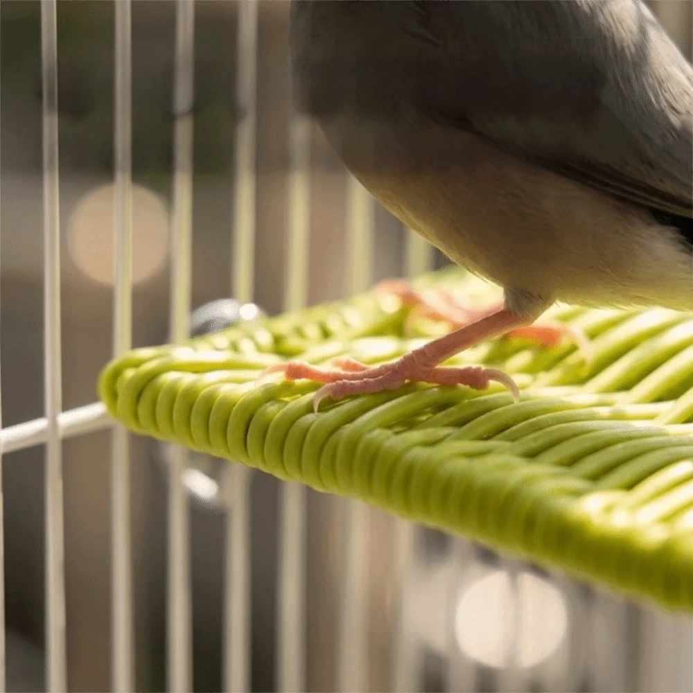 Imitation Rattan Weaving Parrot Perch Rest Wear Resistant Bite Resistant Jumping Platform Breathable Bird Resting Platform Rest