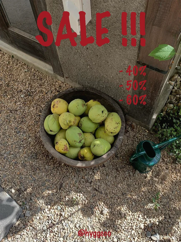 

HYGGEOO 'Ons' Collection Women's Cleanfit Sle Long Sve irt Regular Thin Spring 2024 Season Other Material 00%