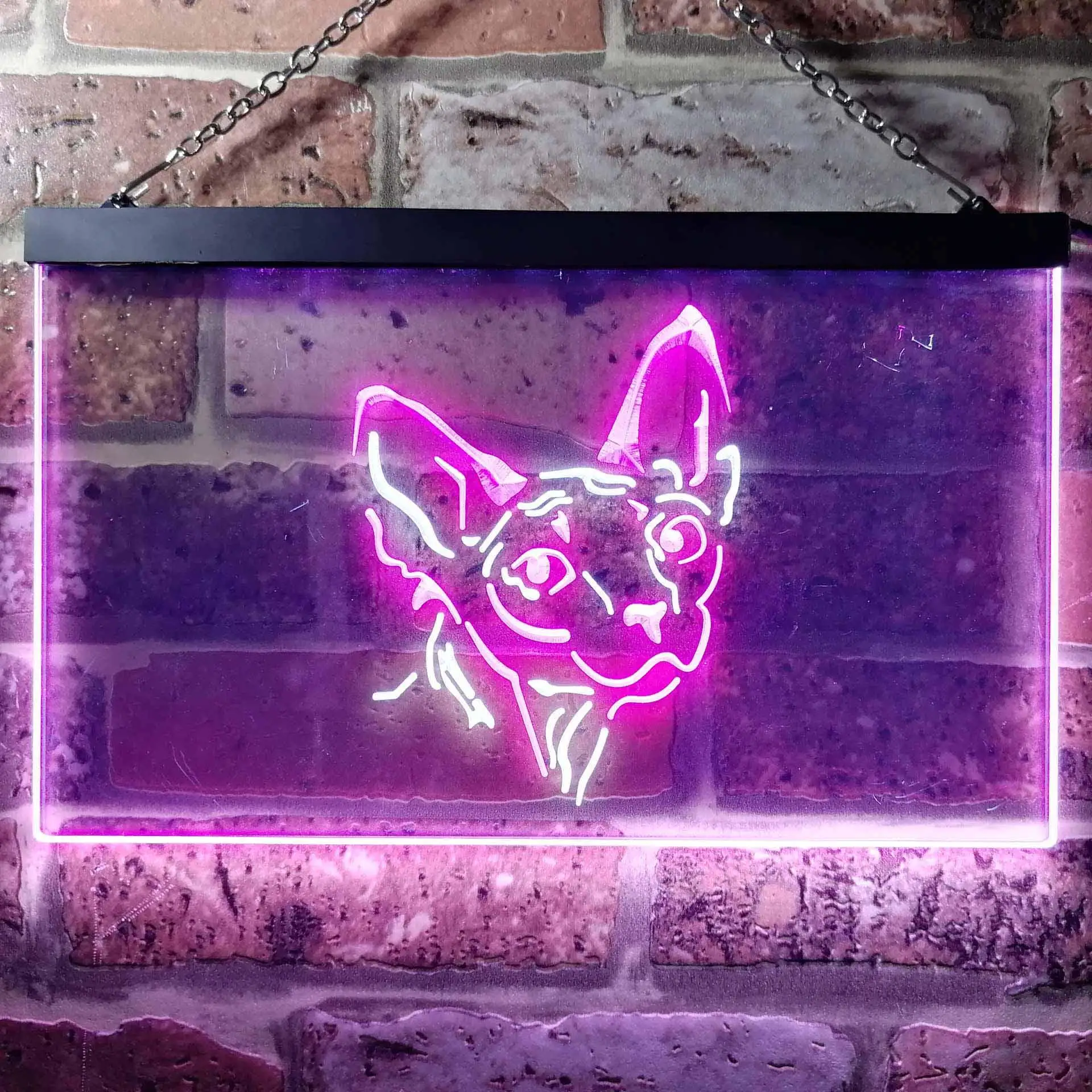 Sphynx Canadian Hairless Cat Dual Color Led Neon Sign st6-i0988