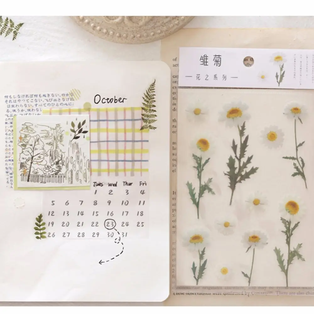 

12 Designs Natural Daisy Clover Japanese Words Stickers Transparent PET Material Flowers Leaves Plants Deco Sticker Aesthetic