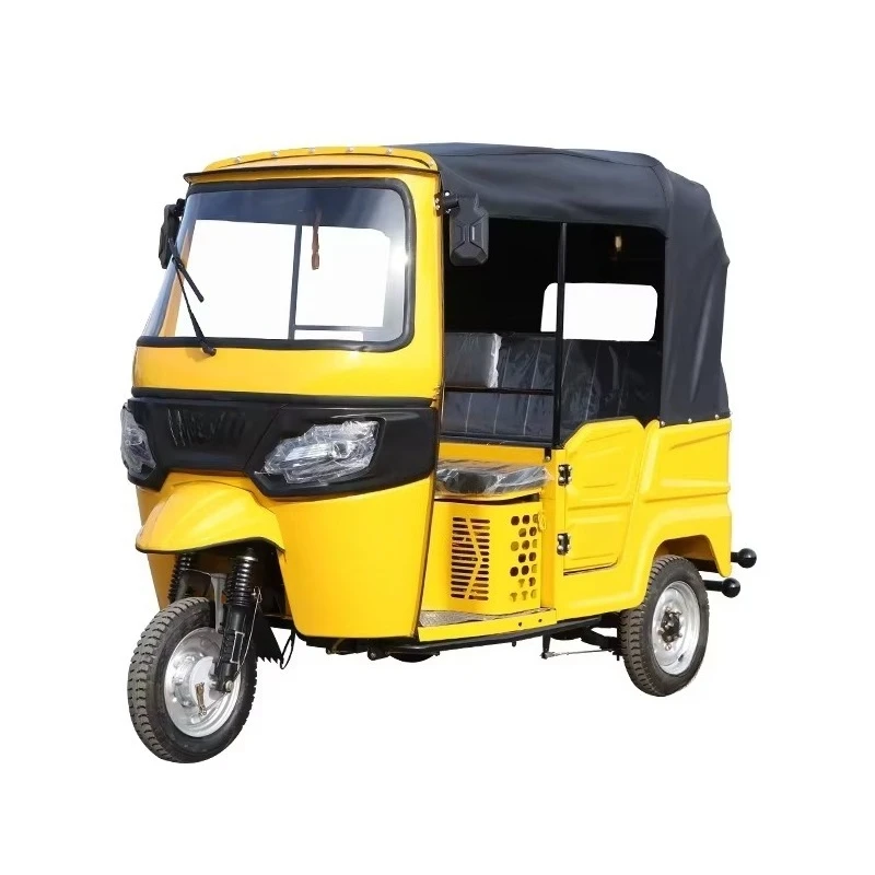 Custom 1000W 1200W  3 Wheel Double Pedal Electric Scooter Mini Motorcycle Passenger Tricycle with Canopy