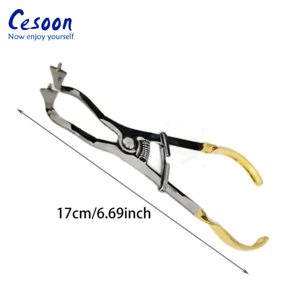 1Pc Dental Sectional Matrix Plier Stainless Steel Plier for Matrics Band Forceps Metal Matrices Placement Orthodontic Instrument