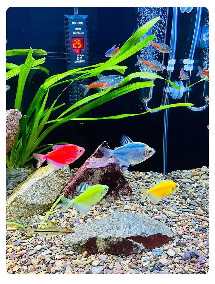 Natural Stream Sand Aquarium Substrate Landscaping Decorative Aquarium Bottom Sand Fish Tank Aquarium Home Decoration Stone