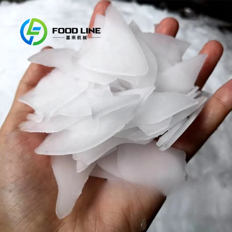 Commercial 300kgs 1ton 10tons 30tons Fishing Flakes Ice Making Machine