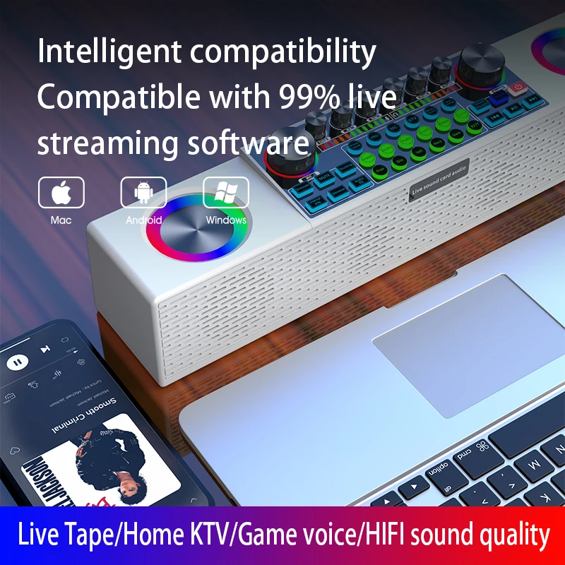 ลำโพงร้องเพลงไร้สายสำหรับใช้ในครอบครัวลำโพงร้องคาราโอเกะกลางแจ้งสำหรับลำโพงบลูทูธพกพาได้