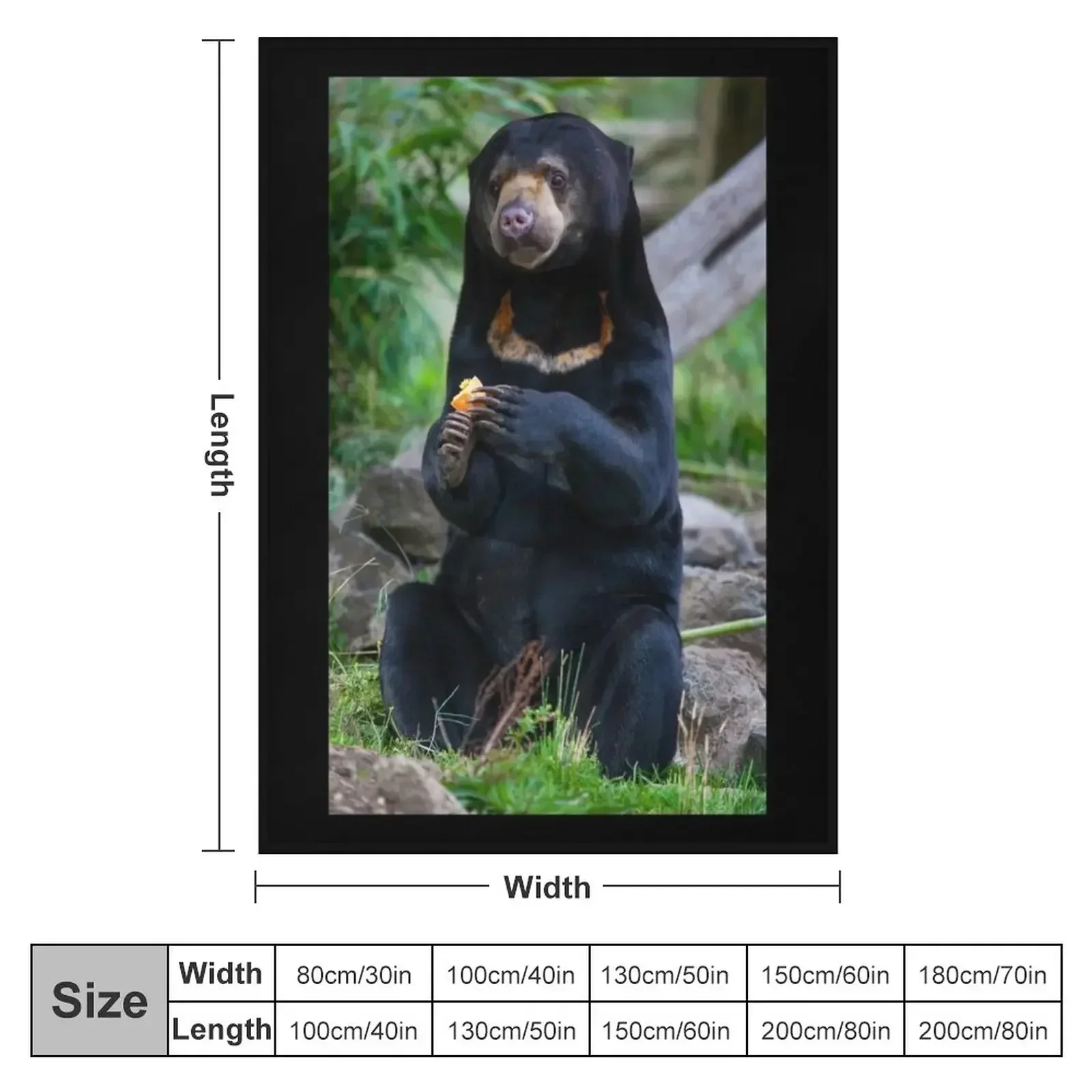 Malayan Sun Bear Contemplating Throw Blanket for sofa Hairys halloween Blankets