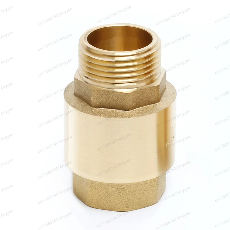 Custom Industrial Check Valve - Vertical Spring Loaded Brass Non-Return Valve for Kitchen Plumbing, Anti-Backflow Design