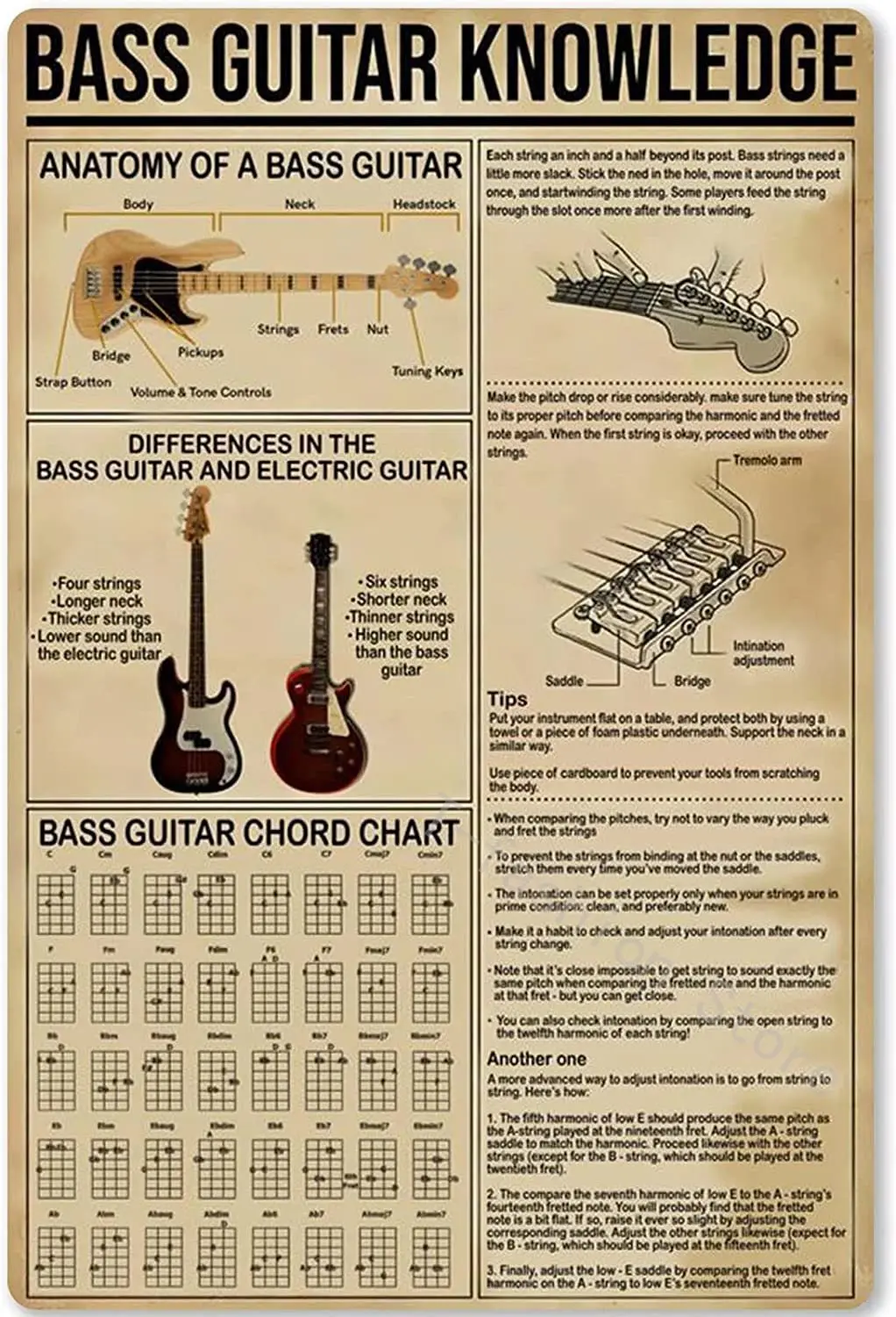 

Bass Guitar Knowledge Metal Sign Anatomy of A Bass Guitar Tin Poster Plaque Beginner Home Kitchen Club School Cafe