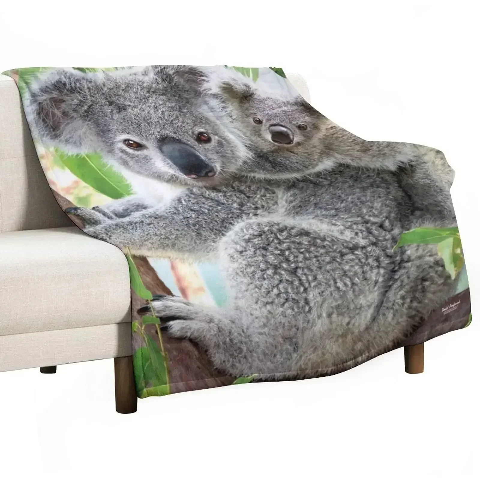 Koala Cuddles Throw Blanket Softest Hairy Baby anime Cute Luxury Designer Blankets