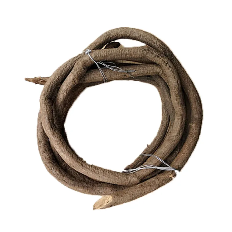 500~700CM Real Plants Tree Vines Alive Flexible Rattan Real Touch Branches Liana Wall Hanging Rattan Wedding Decoration Flowers - Image 2