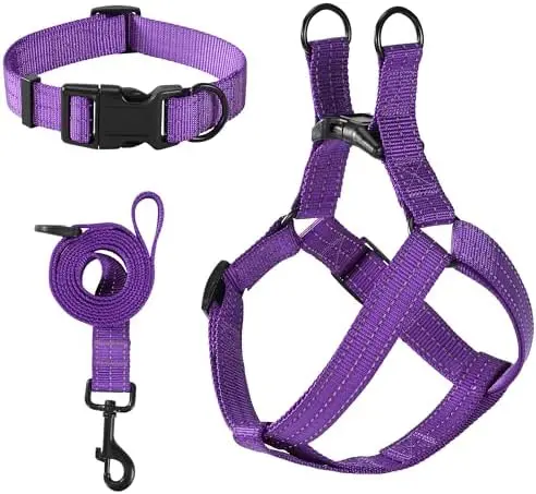 

Reflective Puppy Collar Set for Dogs – Adjustable Band & Leash (Purple, Pack of 3)