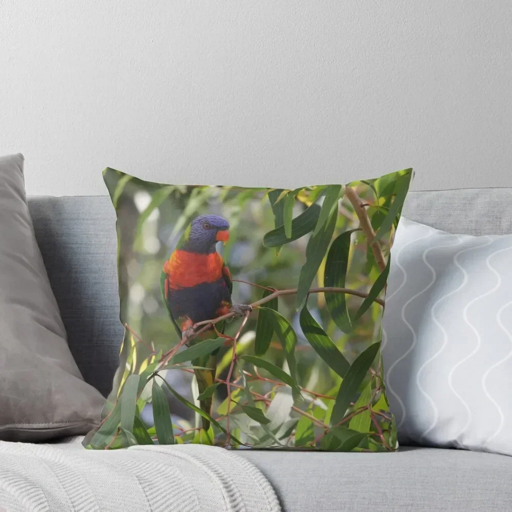 

Swainsons Rainbow Lorikeet in Paperbark Sapling Throw Pillow Cushion Cover Set Custom Cushion luxury covers anime girl pillow