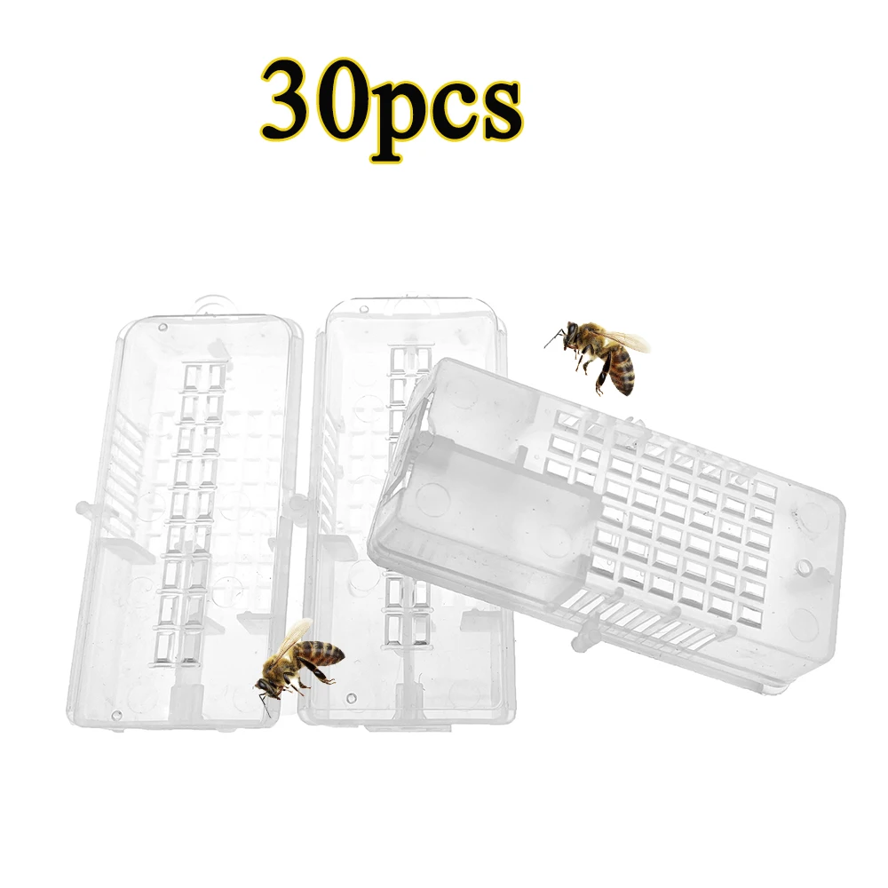 

30PCS Queen Bee Insectary Large Space Shipping Cage Introduction Carrier Travelling Transparent Box Apiculture Tools Supplies