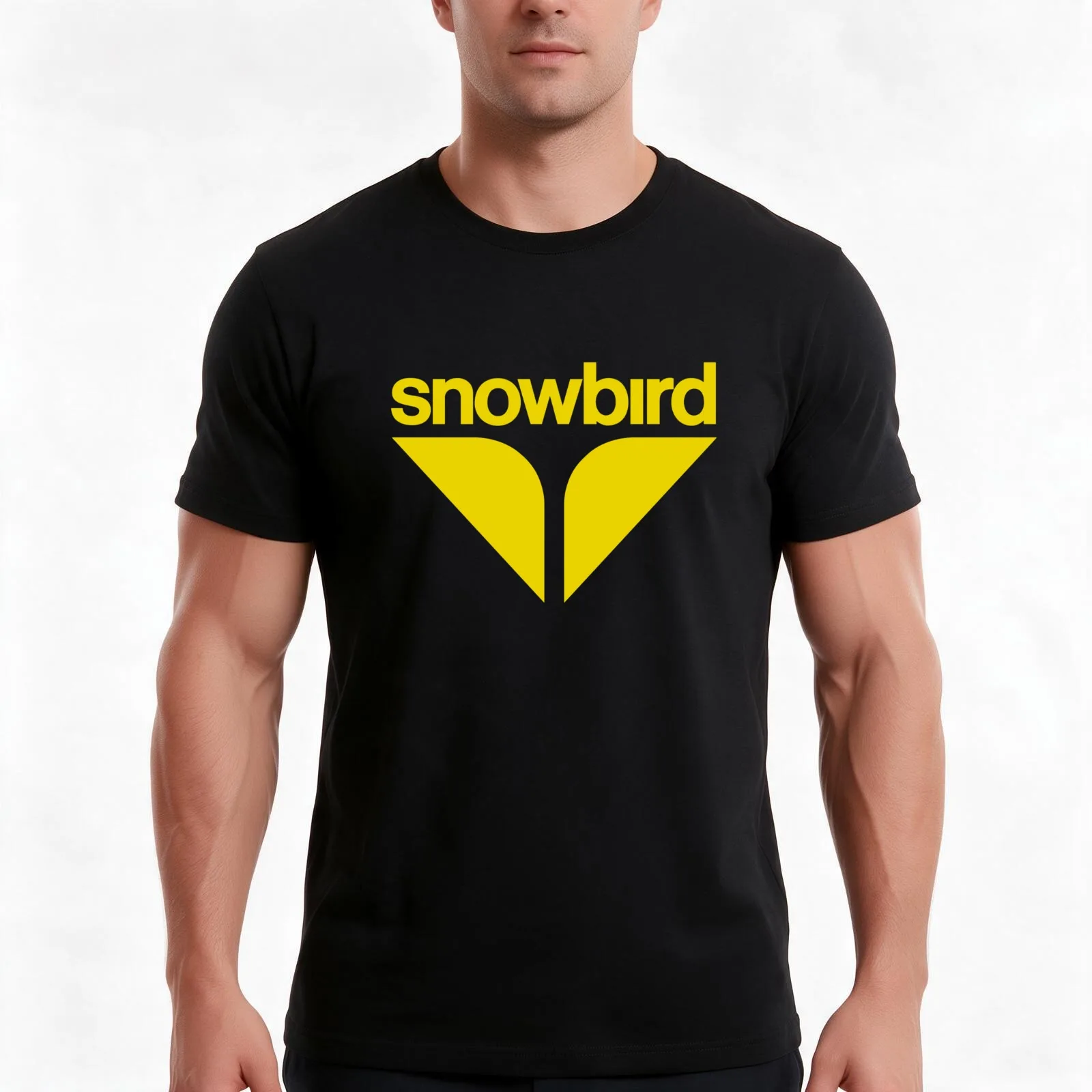 Snowbird V1 T-Shirt, Summer Casual Cotton Tee, Oversized Streetwear Tops, Vintage Graphic Print, Loose Fit Short Sleeve