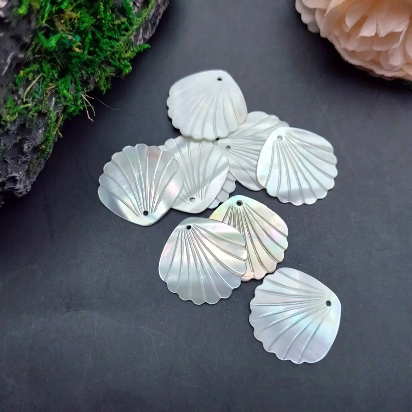 10pcs Natural Shell Charms for Jewelry DIY Making