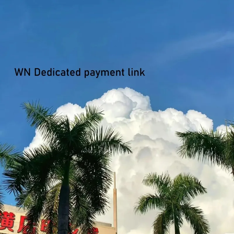 Max 2Nd Pro Payment…