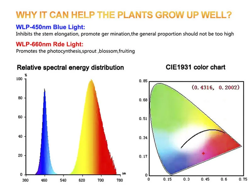 4 head LED Grow Light DC 5V USB Timer plant flower Red Blue light Phytolamps 15W 60W Desktop Clip Phyto Lamps Flowers Grow Box