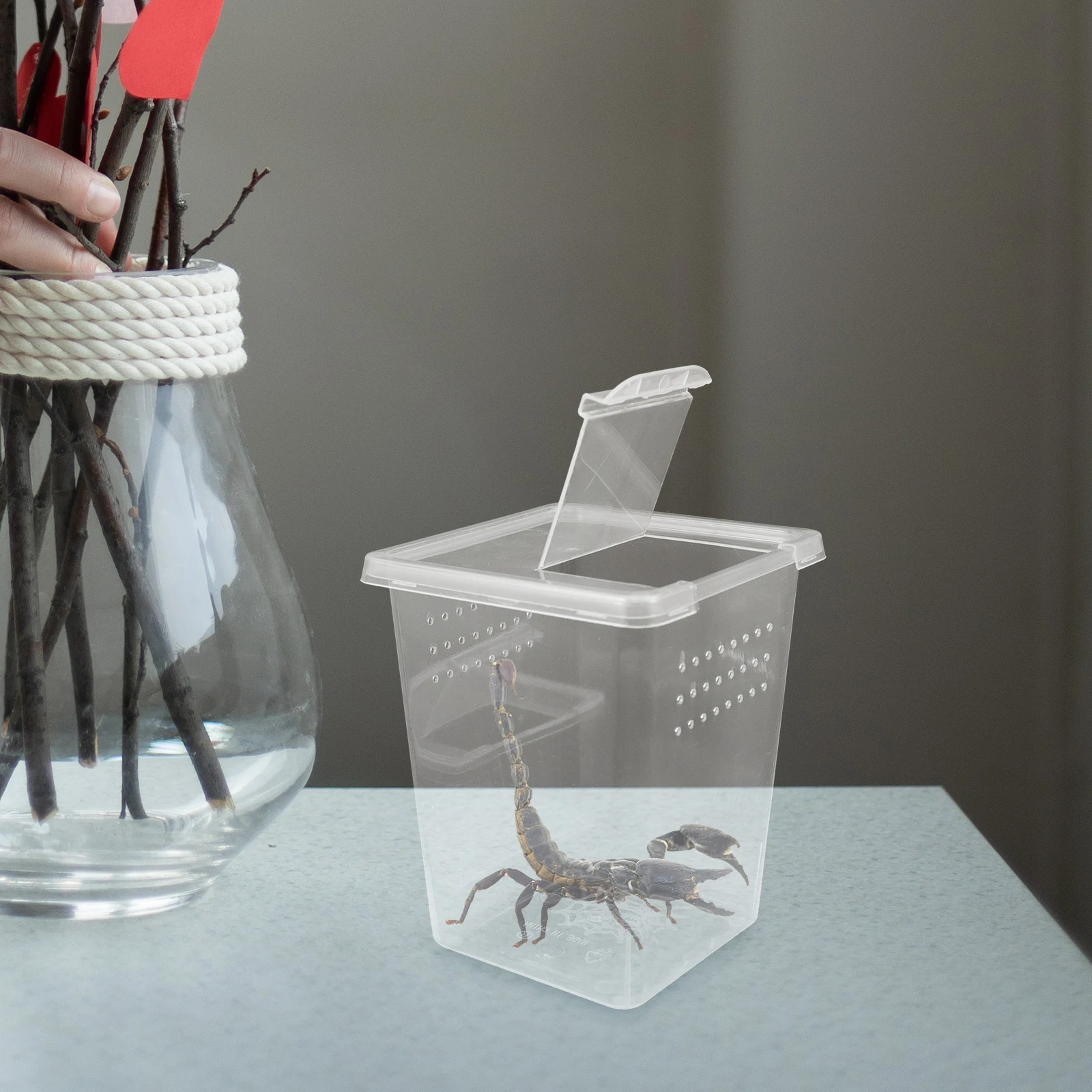 

8pcs Transparent Reptile Cage Ventilated Snake Box Portable Plastic Cricket Keeper For Turtles Spiders Crabs