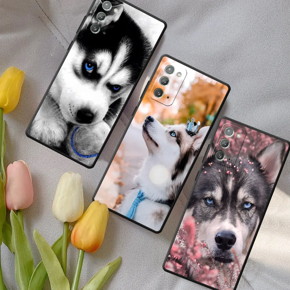 Custodia per cucciolo di animale Husky per Samsung Galaxy Note 20 Ultra 5G 10 Plus 9 Cover per telefono in TPU nero M12 J6 Plus J7 J8 J5 Prime