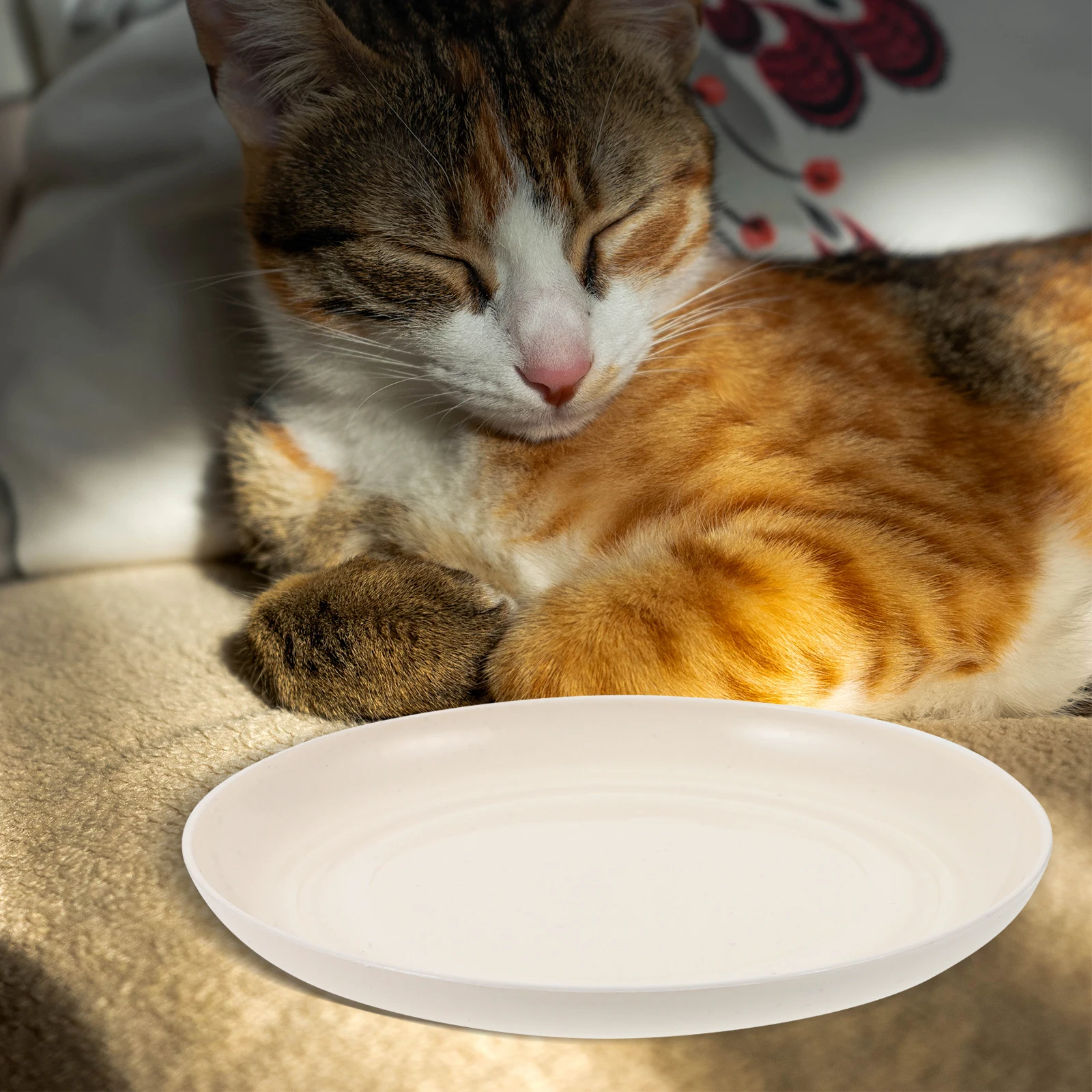 

4pcs Cat Food Dish Bowls Set 15cm Plates for Indoor Cats Pet Round Water Bowls Non Slip Easy Cleaning Blue Pink Beige