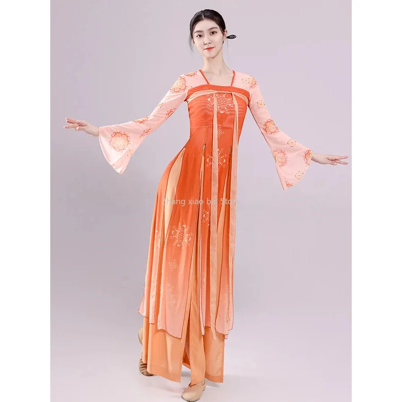 Classical Dance Costume Ancient Style Dance Practice Clothes Women Chinese Dance Clothes Cheongsam Long Sleeve Modern Dancewear