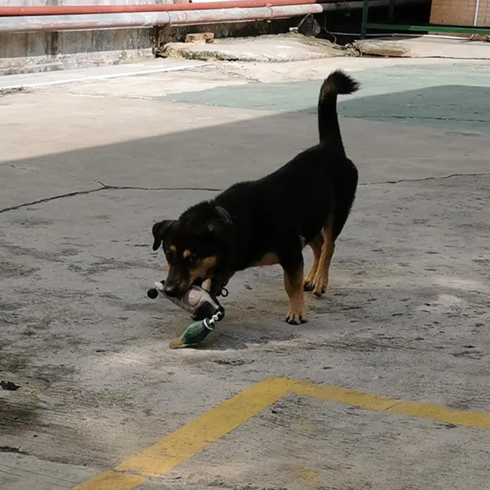 Haustier Hund Training gefälschte Ente die Vogel puppe lehrt Stockente Wasservögel Spiel Retrieval Ente Kau spielzeug perfekte Größe für Hunde