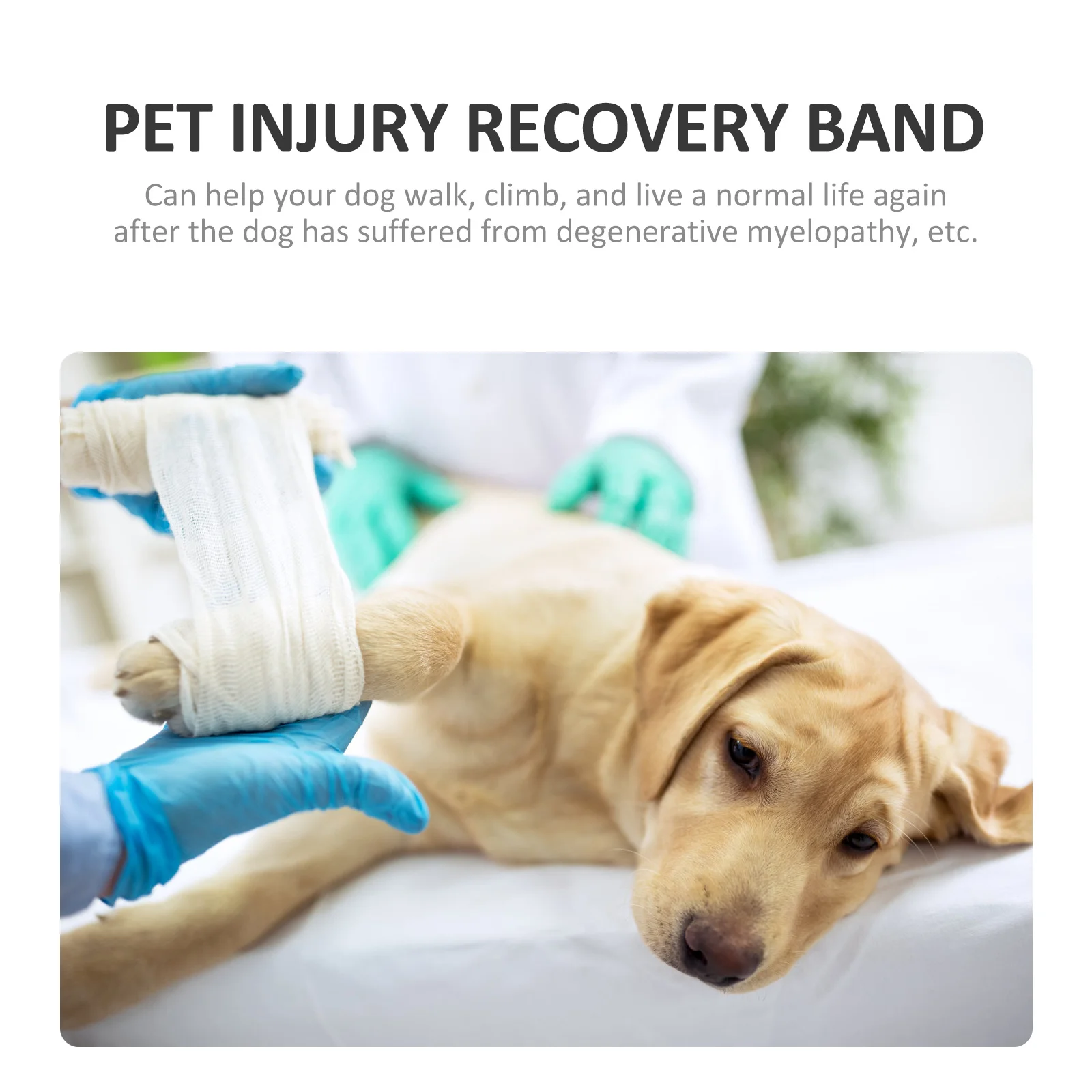 

Mobility Lift Harness Support For Injured Elderly Dogs Outdoor Walking Rehab Aid Pet Supplies Dog Sling Harness Portable