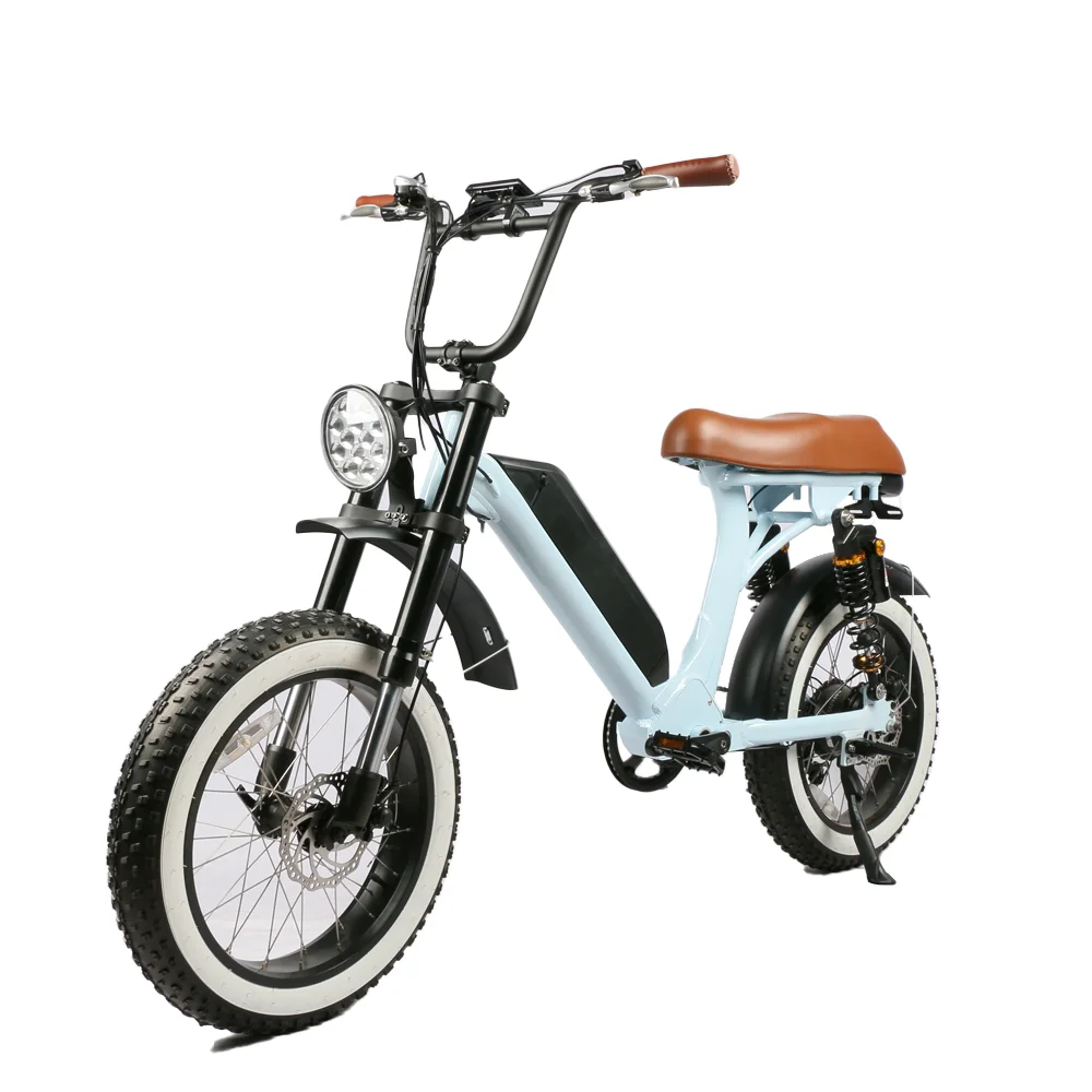Retro Style E Scooters 500w Dual Motor Optional Motorcycles EEC Electric Bike Moped City Bike for Adults