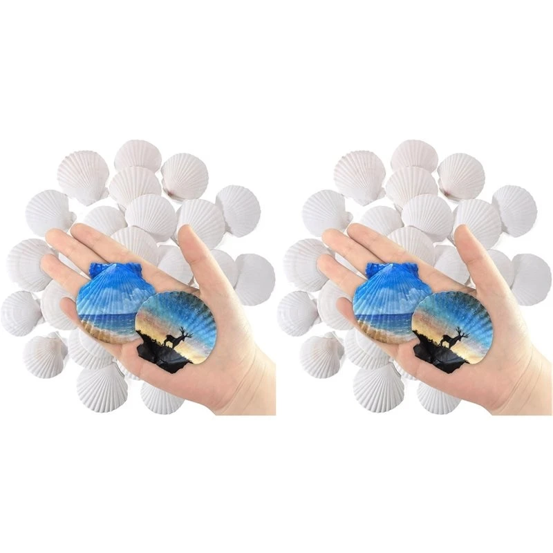 T19C 60 Pcs Natural Scallop Shells 2-3 Inch White Seashells For Crafts DIY Painting And Ocean Summer Beach Wedding Home