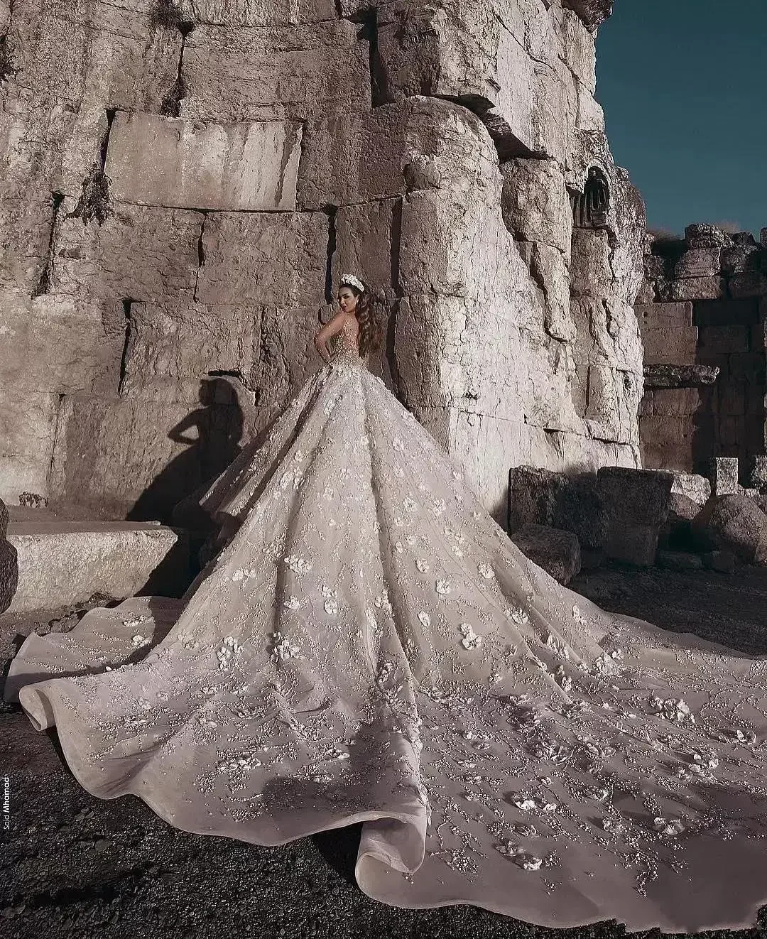 Robes de mariée en cristal arabe personnalisées, robe de bal en Tulle, manches longues transparentes, robes de mariée de plage, Train chapelle sur mesure