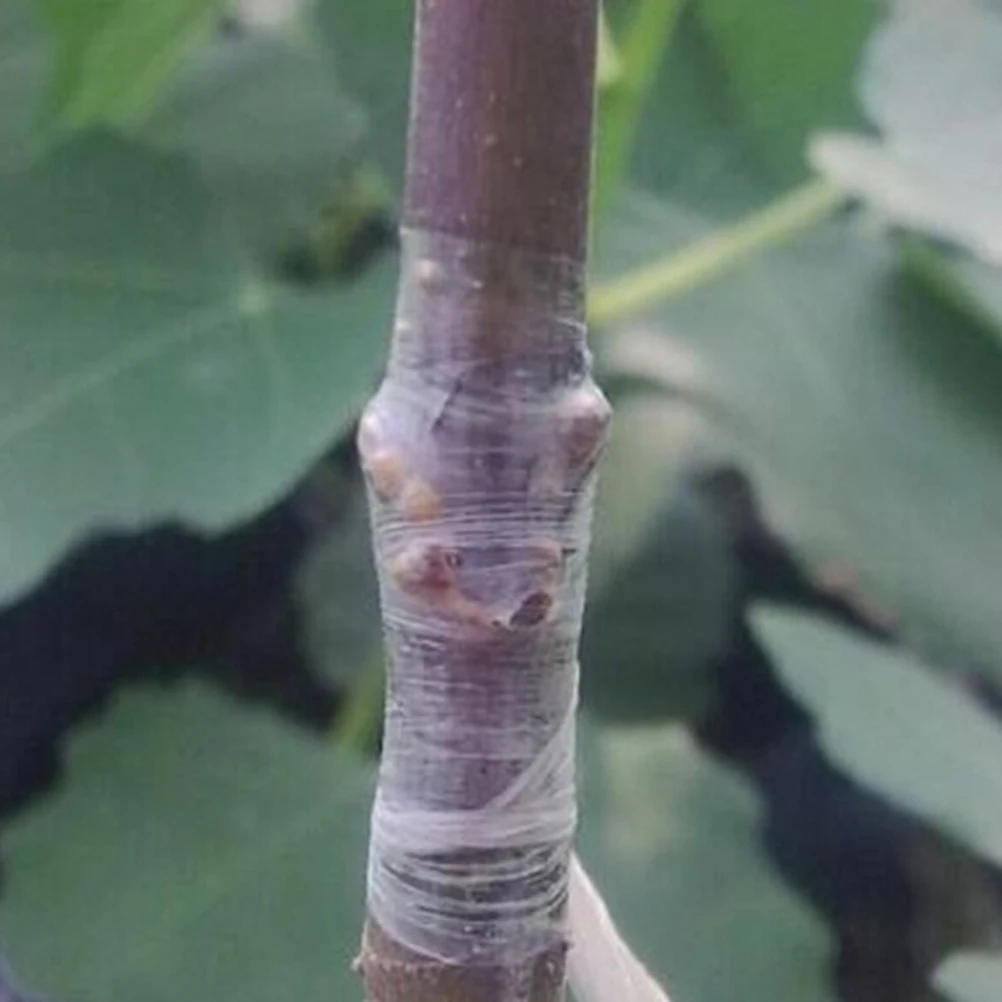 Clear Grafting Tape…