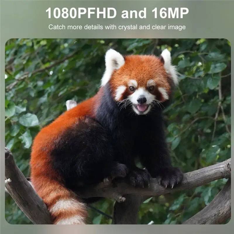 Outdoor Hunting Camera 16MP 1080P Infrared Night Vision Motion Activated Photo Animal Observation Cam Trail Cam