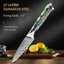 TURWHO 3.5 Inch Paring Knife 67 Layer Damascus Steel Abalone Shell Handle Kitchen Chef Knives Fruit peeling Knife Peeler Tools