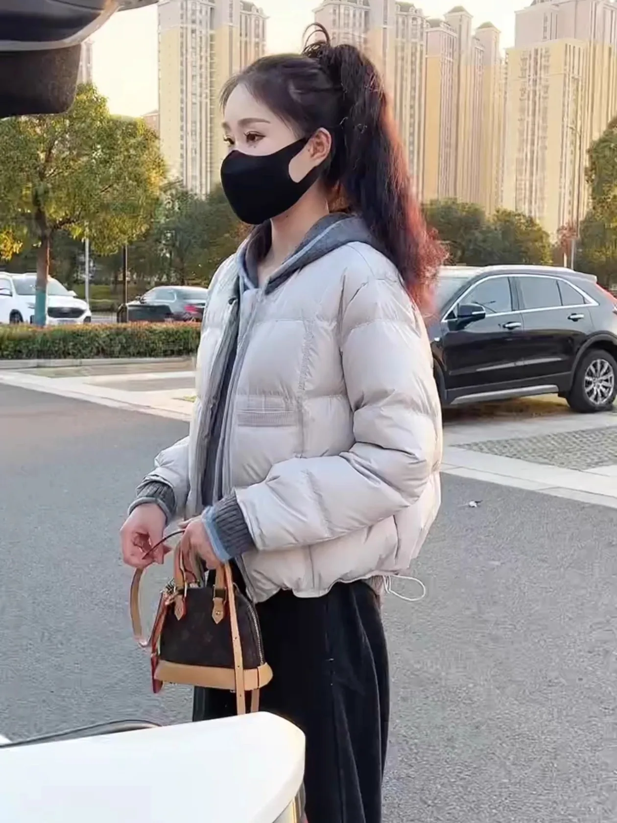 

White Duck down Short Puffer Jacket Women's Thickened Warm Casual Style Regular Fit Winter Outerwear Fashionable Versatile