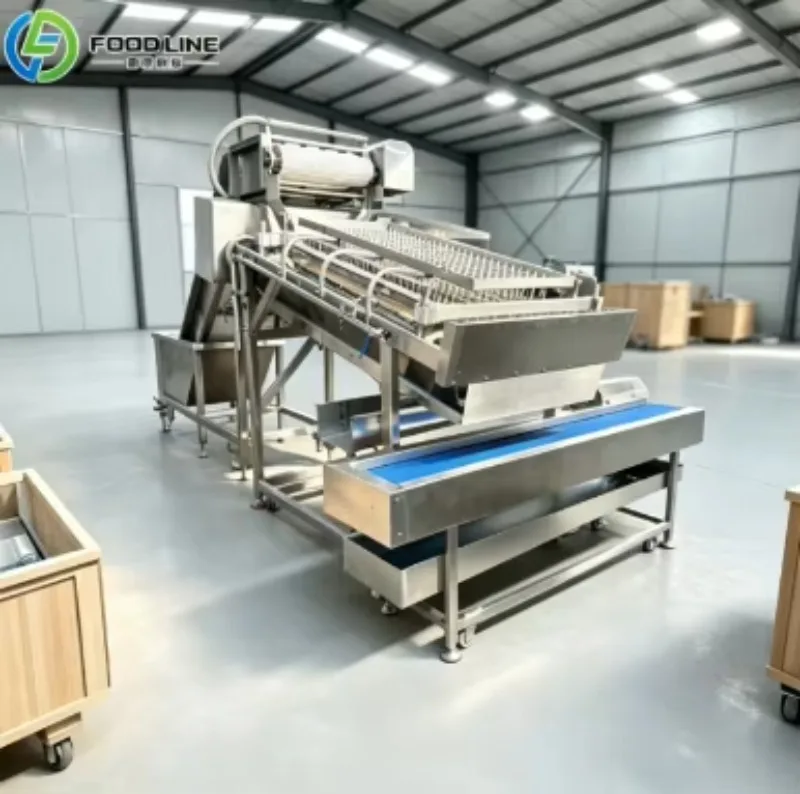 Automatic Food Grade Stainless Steel Shrimp Crab Peeling Shelling Machine Prawn Back Cutter Machine FL Customized