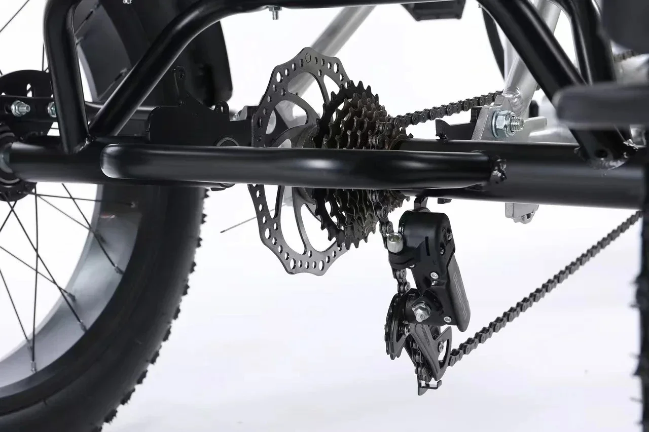 

Electric motorcycle tricycle 800 watt motor 3 wheels lightweight adult electric tricycle