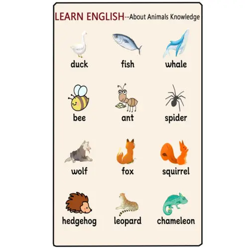 1e,Funny Metal Tin Signs Learn About Animals Knowledge Office Bar Home Wall Art