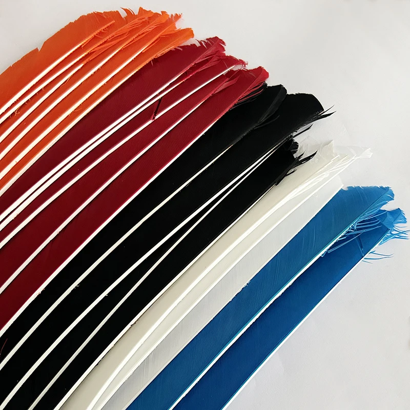 Thumbnail 3 - #36 Cheap Arrow Fletchings Worth Buying