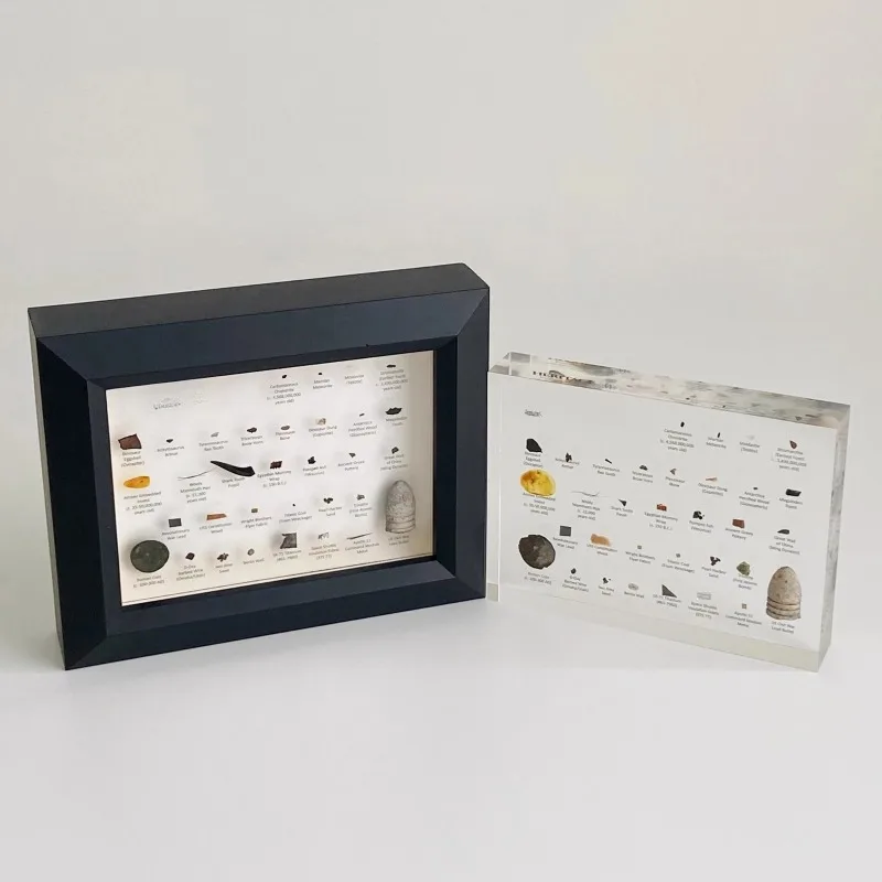 Real Specimens Touch Edition Mini Museum Historical Gifts Ornament Collection