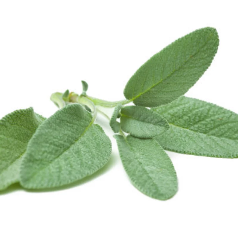 

40 + MPH масштаб 1/18, радиоуправляемая машина, 2,4G, 4WD, высокоскоростной, с дистанционным управлением, большой TRACK HS 18311/18312, игрушки на радиоуправлении