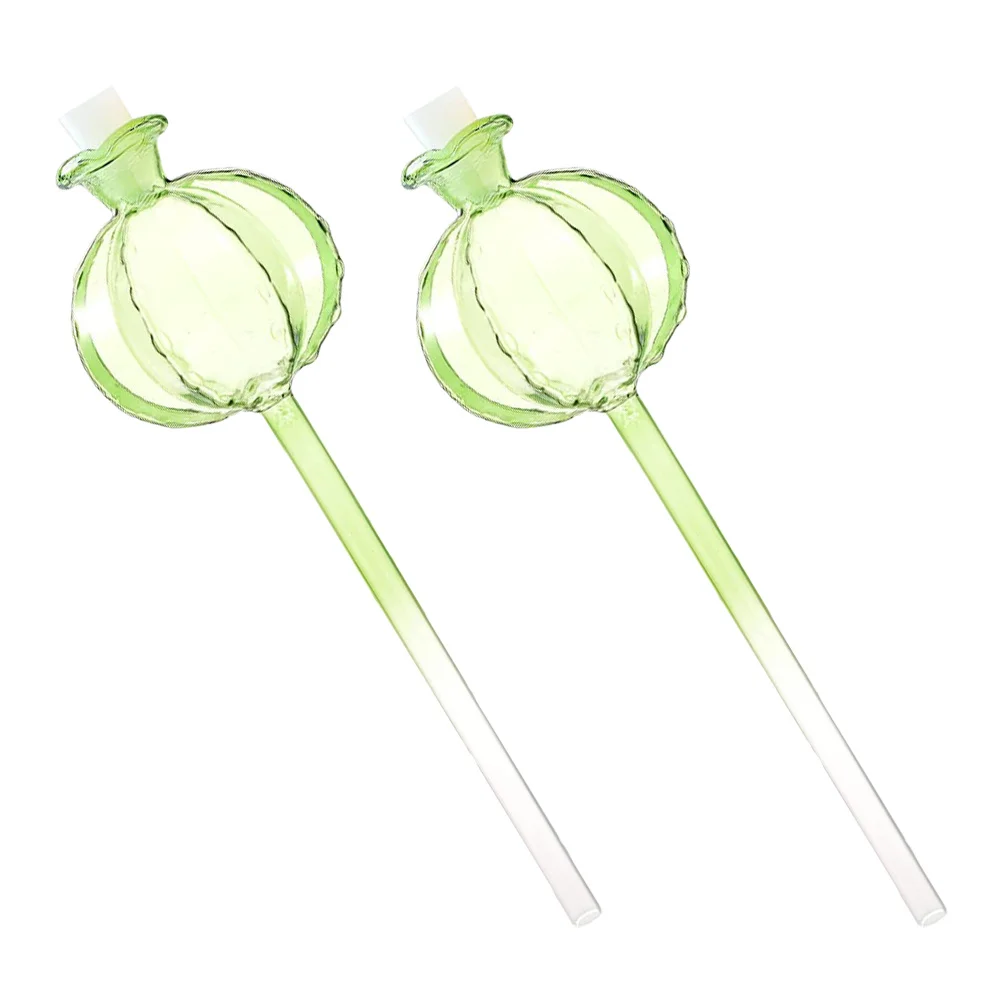 

2Pcs Automatic Plant Watering Globes Clear Glass Design for Home Gardening and Indoor Plants Watering Stakes Durable