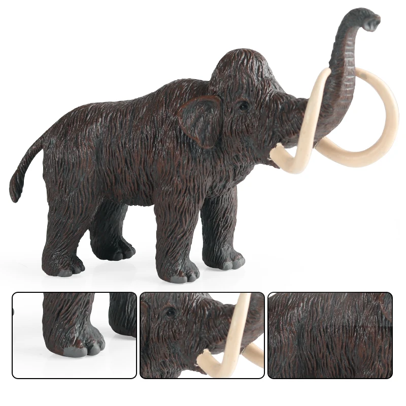 Oenux Prähistorische Wilde Tiere Simulation Gürteltier Doedicurus Sabretooth Modell Action-figuren PVC Sammlung Spielzeug Für Kind Geschenk – Detail 11