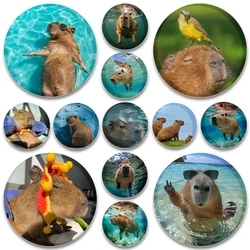 Cute Capybara Badge Funny Animals Brooches on Backpack Clothes Handmade Round Creative Enamel Pins for Jewelry Gift Accessory