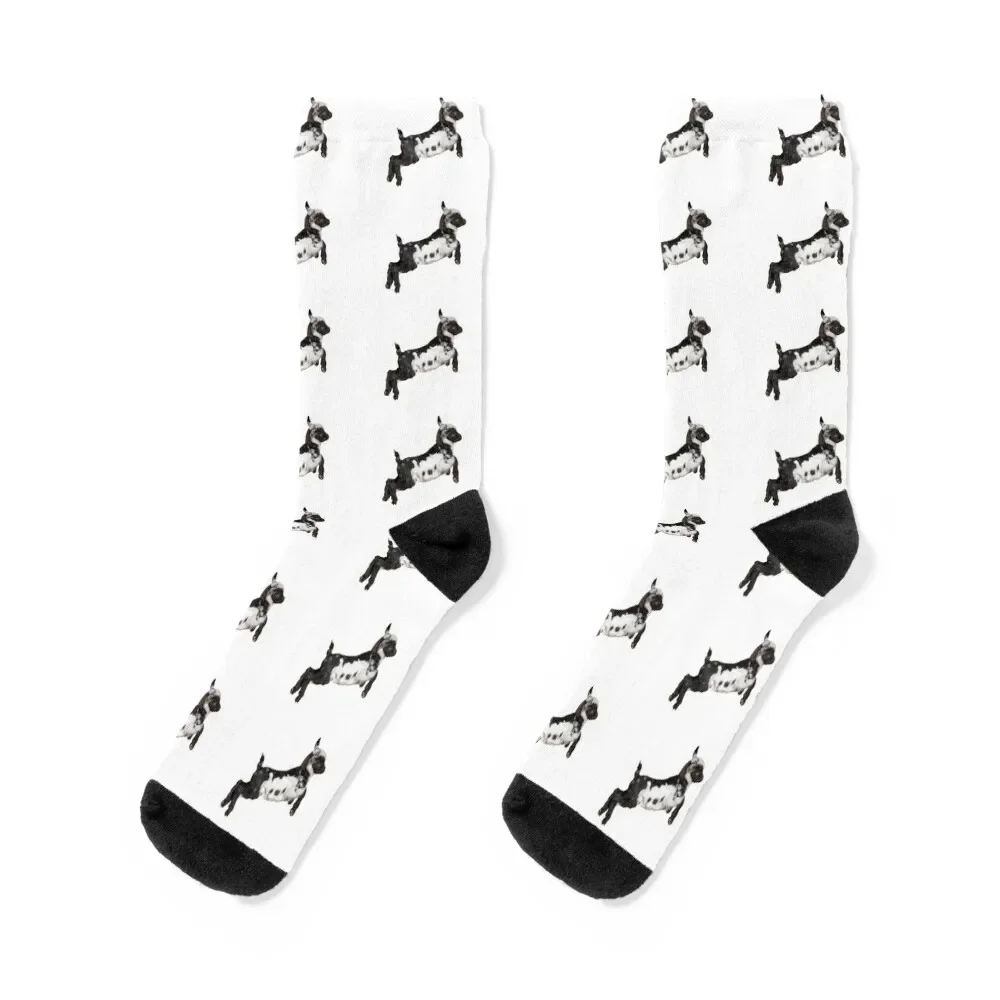 

Bouncing Baby Goat III Socks hockey winter thermal Heating sock moving stockings Socks Male Women's