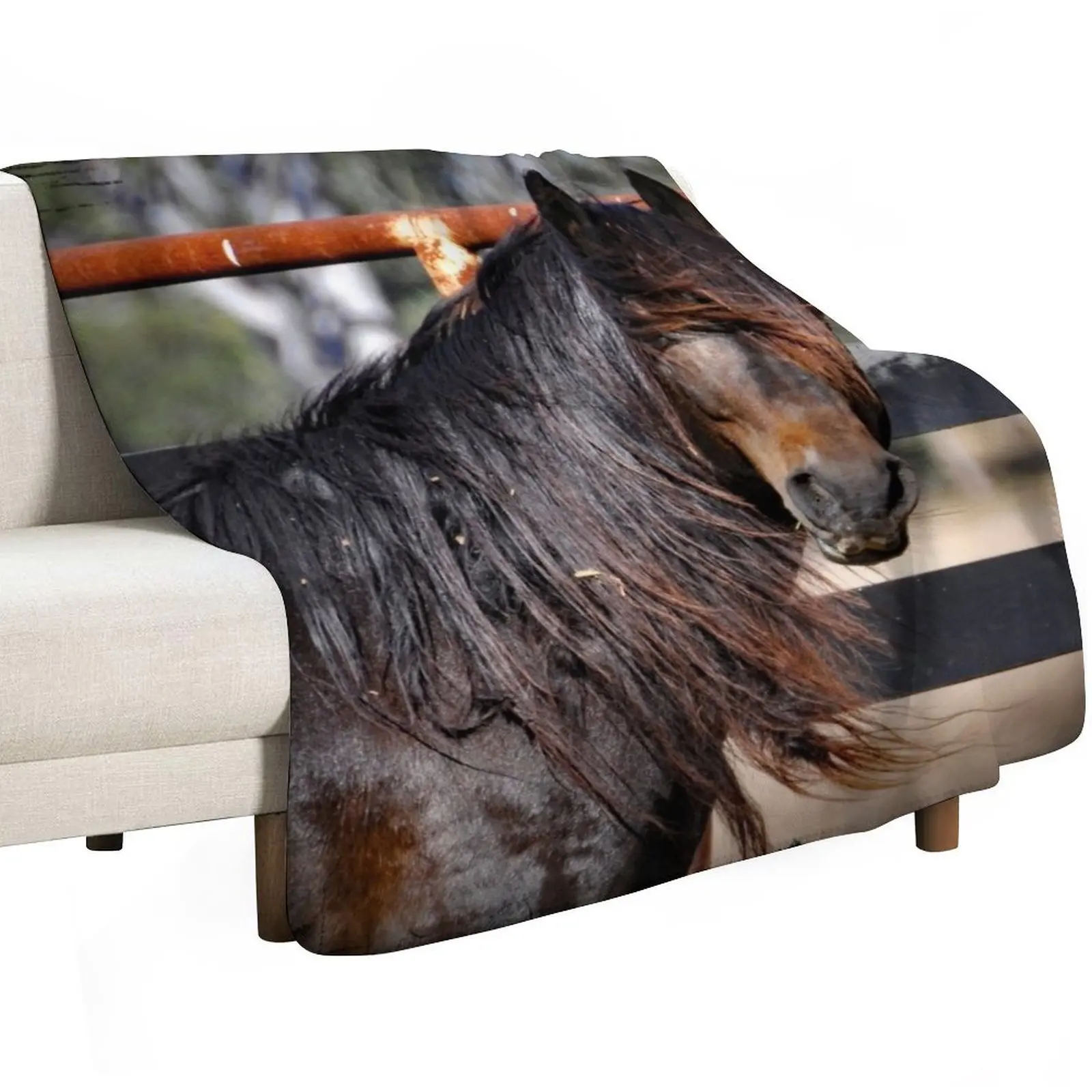 Australian Brumby Stallion. BRUMBY. Throw Blanket For Sofa Thin Kid'S for babies manga Luxury Thicken Retros Blankets