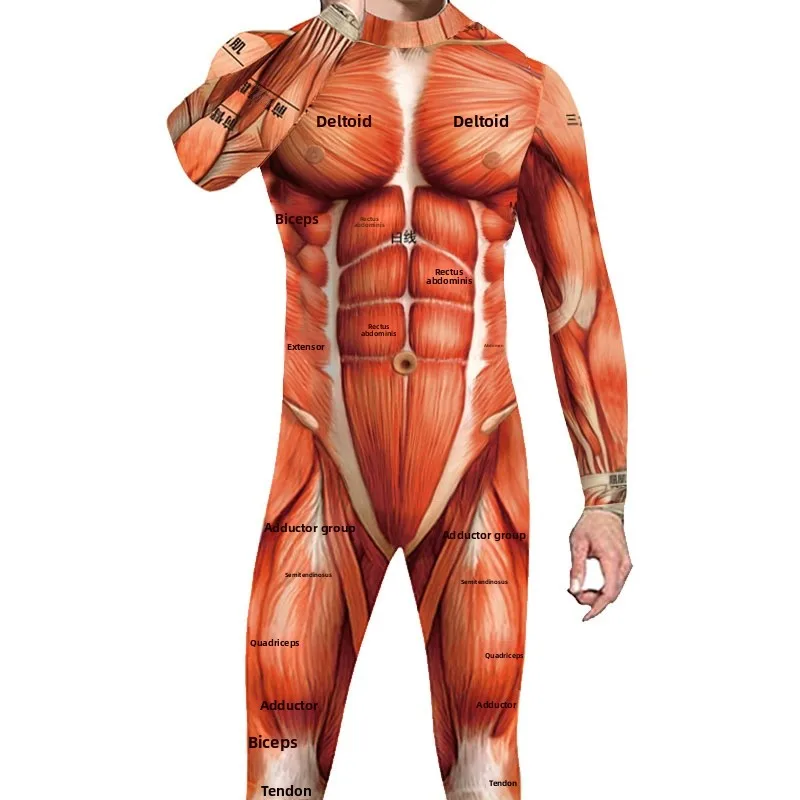 

Комбинезон с мышцами всего тела, человеческий орган, меридиан, длинные брюки, комбинезон, плотный костюм, полиэфирная ткань, дизайн со средней талией