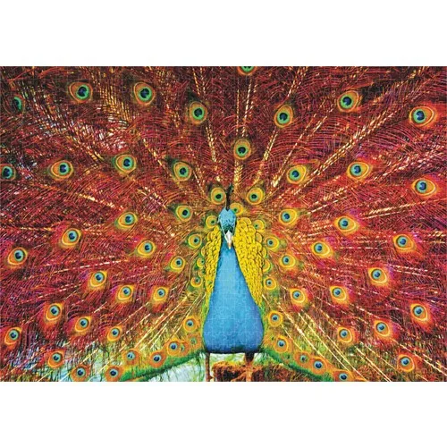 Puzzle nature, paon, 1000 pièces, Puzzle