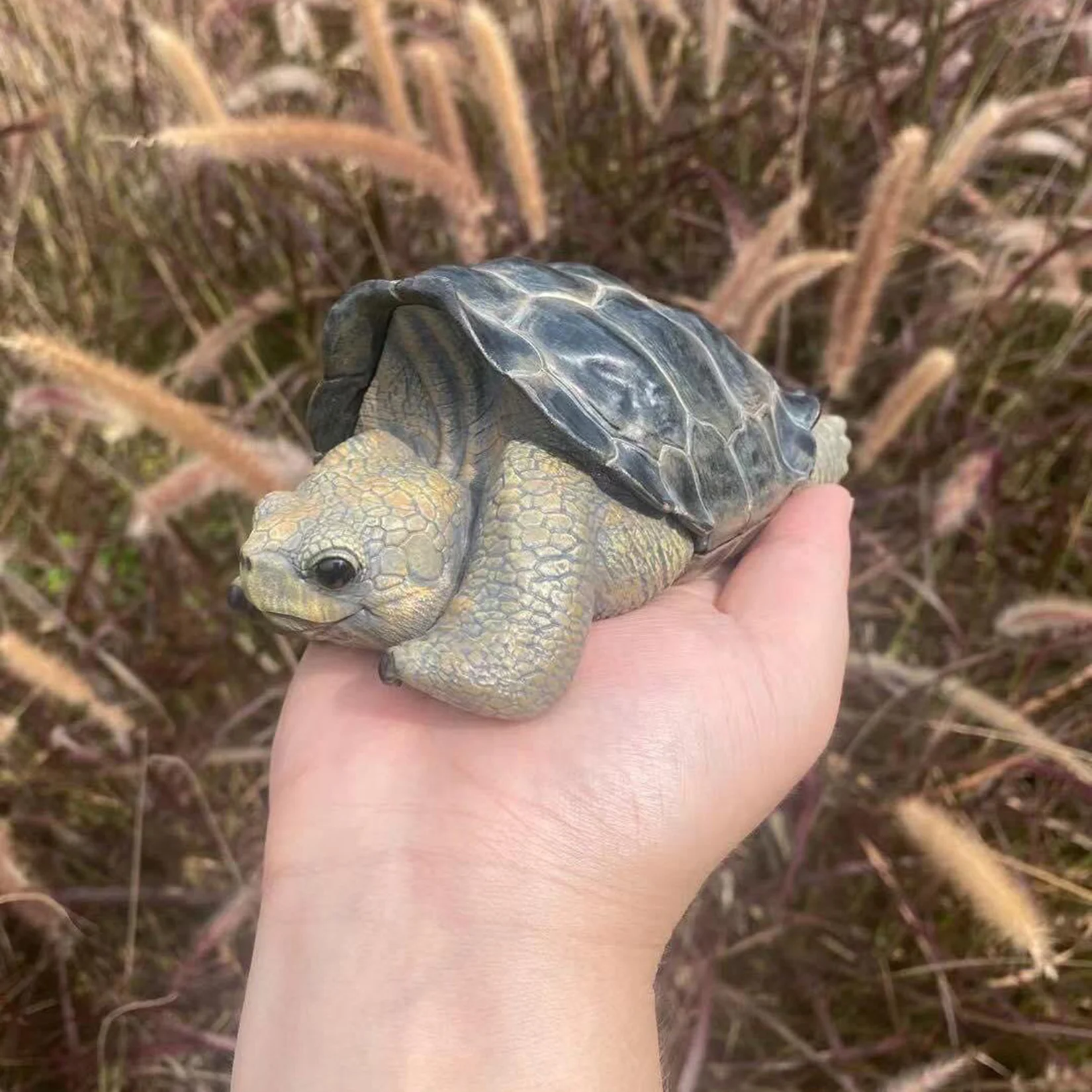 

Bowuzhi Studio Galapagos Giant Tortoise Figure Reptiles Animal Model Turtle Realistic Collection Scene Decoration Adult Gift