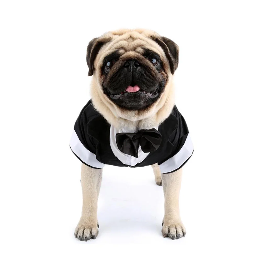 

Cute Dog Bow Tie Small Pet Coat Cotton Puppy Jumpsuit Warm Winter Outfits For Chihuahua Poodle Pet Clothes Tracksuit
